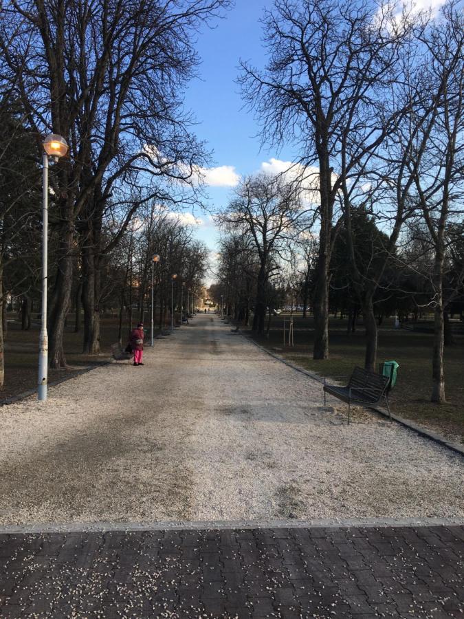 Romantic Studio In Budapest 12Th District Close To Mom Park 아파트 외부 사진